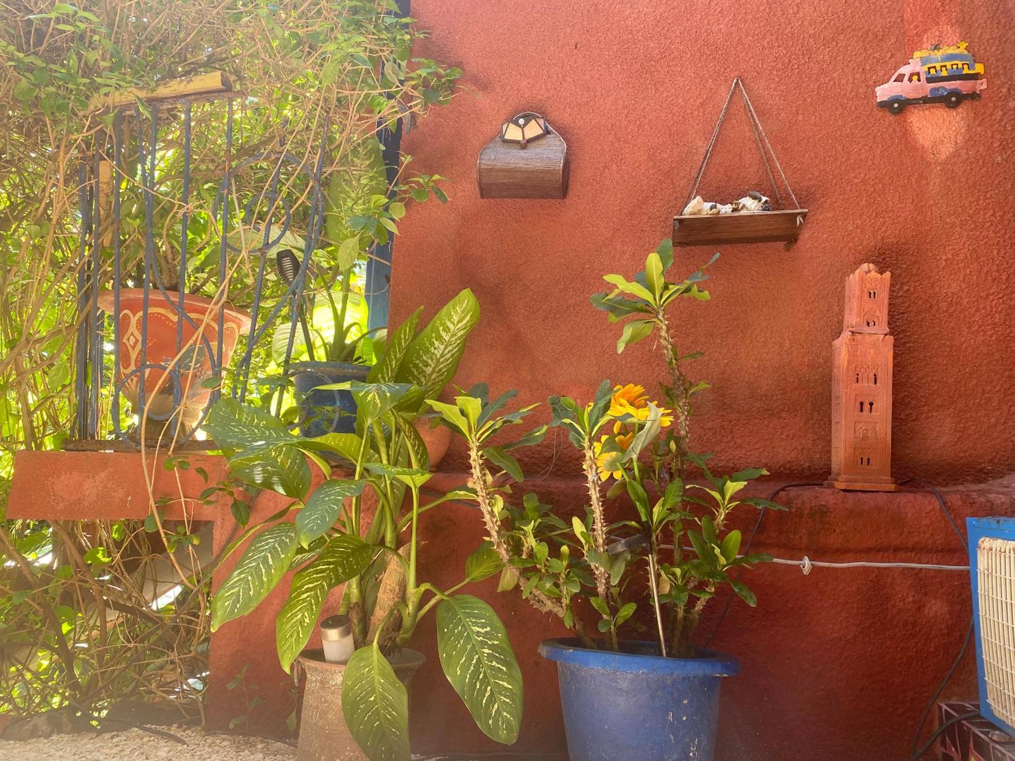 Fabuleux Studio Petit Marrakech Ντακάρ Εξωτερικό φωτογραφία